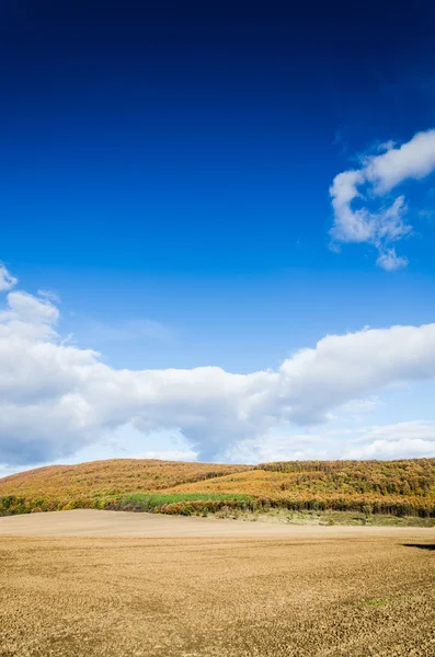 Campo marrone e cielo blu — Foto Stock