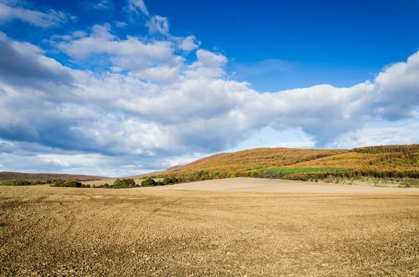 Brown field and blue sky — Stock Photo, Image