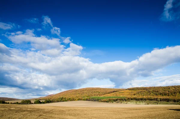Bruin veld en de blauwe hemel — Stockfoto