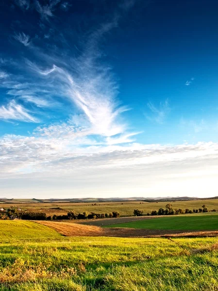 Câmp verde și cer albastru — Fotografie, imagine de stoc