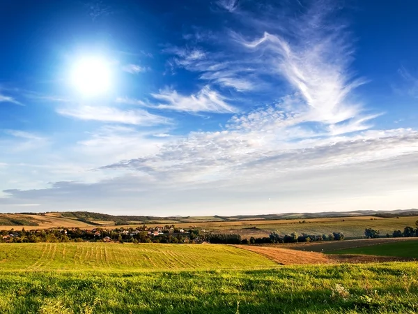 Champ vert et ciel bleu — Photo