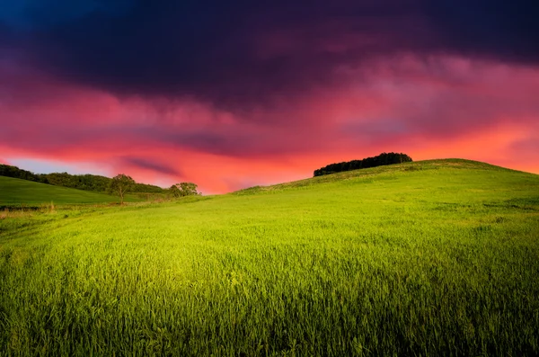 Nattbakgrund — Stockfoto