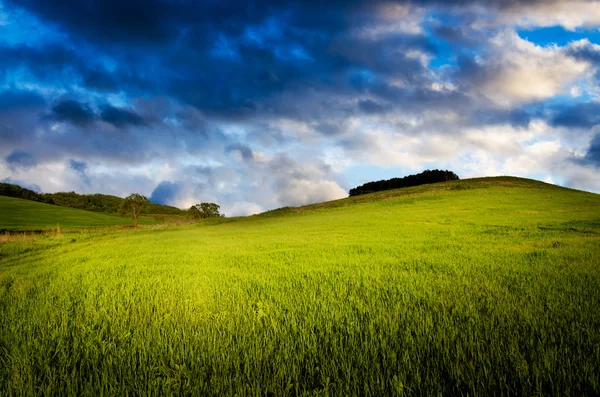 Sfondo notturno — Foto Stock