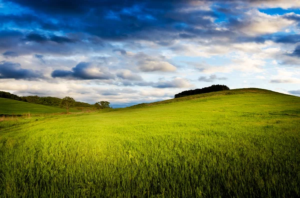 Night background — Stock Photo, Image