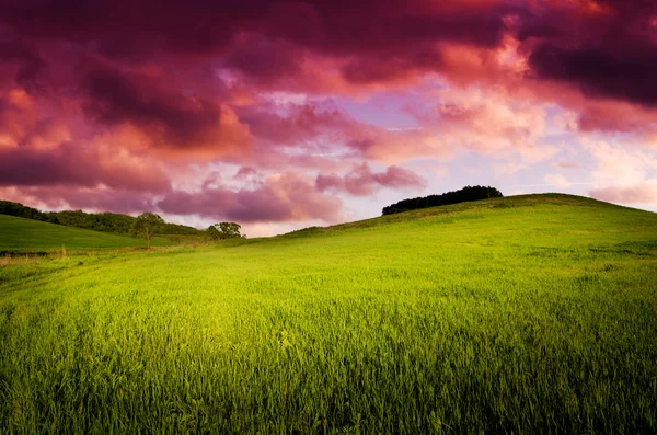 Sfondo notturno — Foto Stock