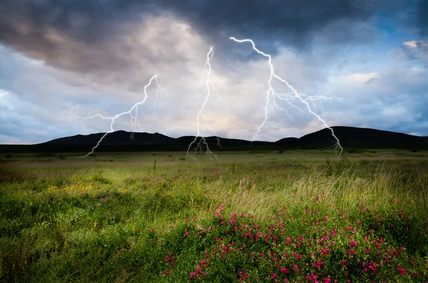 Tormenta con relámpagos en pradera verde — Foto de Stock