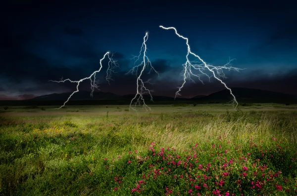 Fırtına yıldırım ile