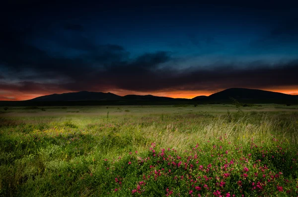 Noční pozadí — Stock fotografie