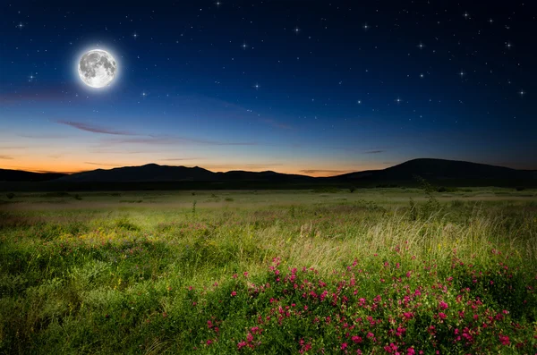 Nachtelijke achtergrond — Stockfoto