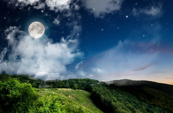 Corn field at night — Stock Photo, Image