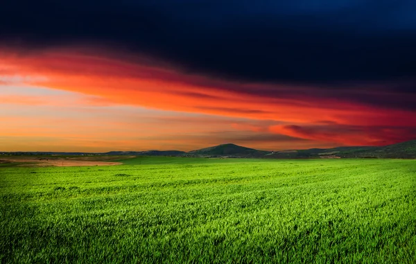 Hintergrund der Nacht — Stockfoto