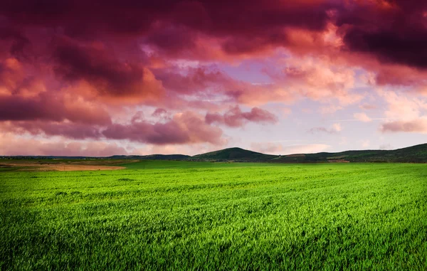 Hintergrund der Nacht — Stockfoto