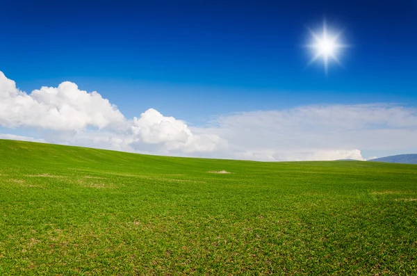 Campo verde — Foto de Stock