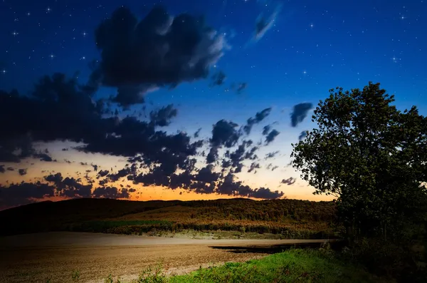 Brown field — Stock Photo, Image