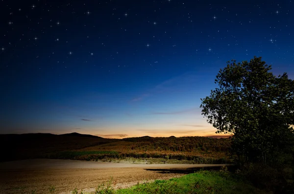 Brown field — Stock Photo, Image