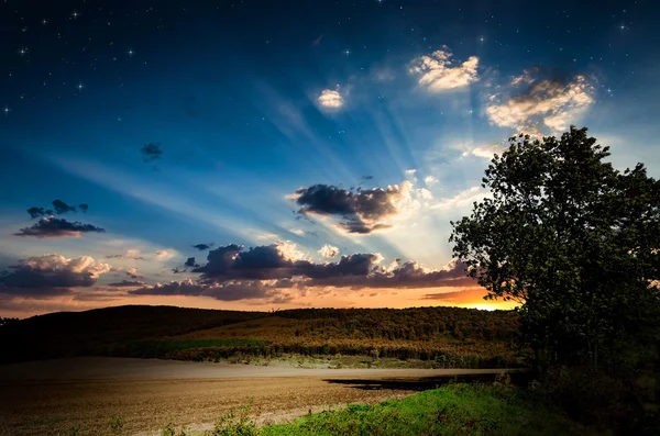 Braunes Feld — Stockfoto