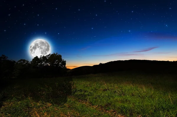 Nachtelijke achtergrond — Stockfoto