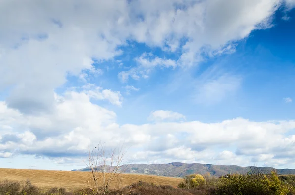 Brown field — Stock Photo, Image