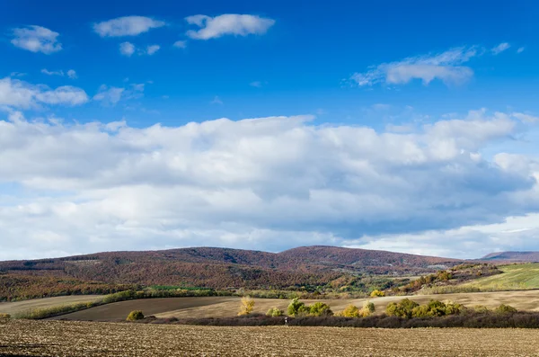 Brown field — Stock Photo, Image