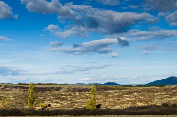 Brown field — Stock Photo, Image