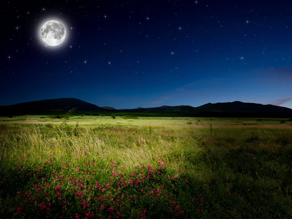 Night background — Stock Photo, Image