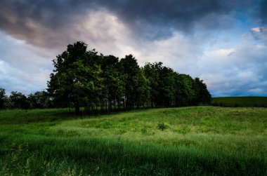 günbatımı ağaçlar gökyüzü ve arka plan