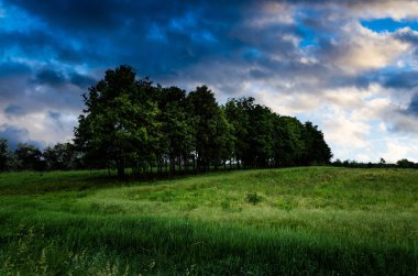 günbatımı ağaçlar gökyüzü ve arka plan