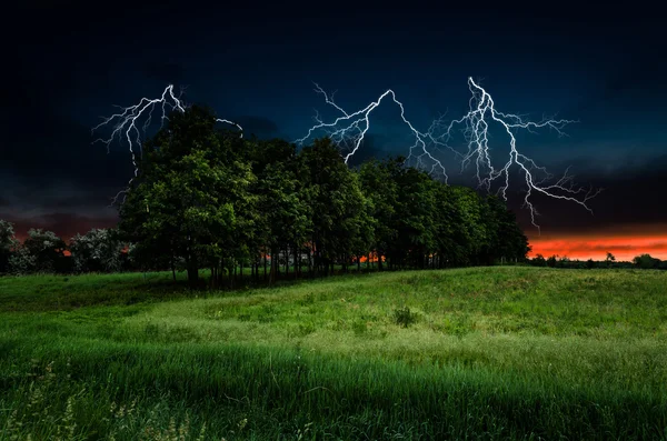 Thunderstorm with lightning in green meadow