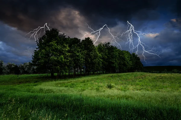 Bouřka s blesky na zelené louce — Stock fotografie