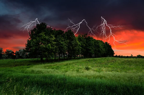 Thunderstorm with lightning in green meadow — Stock Photo, Image
