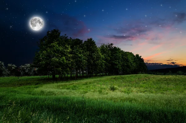 Night sky and trees background — Stock Photo, Image