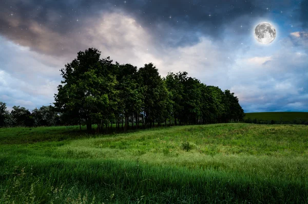 Noční oblohu a stromy pozadí — Stock fotografie