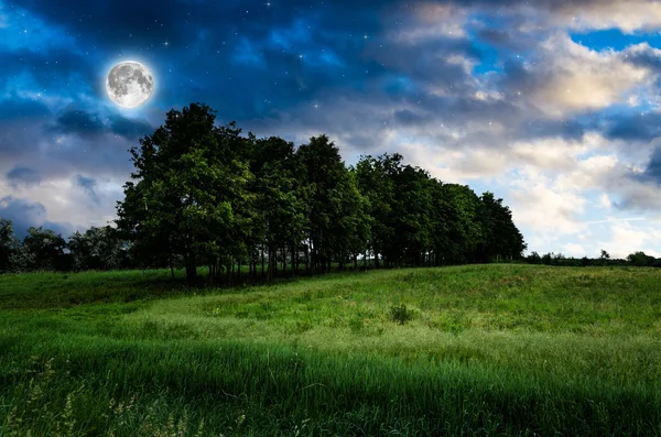 Cielo nocturno y fondo de árboles — Foto de Stock