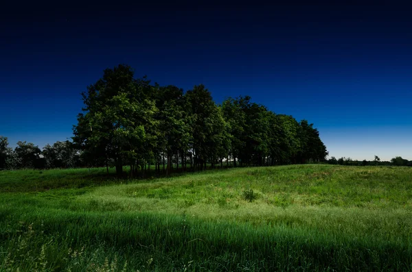 Céu noturno — Fotografia de Stock