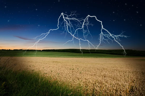 Thunderstorm with lightning in wheat land