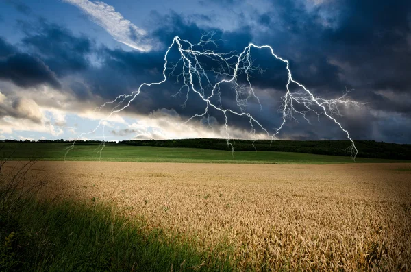 Orage avec foudre dans les terres de blé — Photo