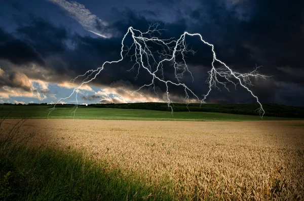 Thunderstorm with lightning in wheat land — Stock Photo, Image