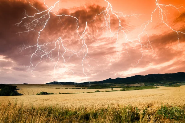 Гроза с молнией в земле пшеницы — стоковое фото