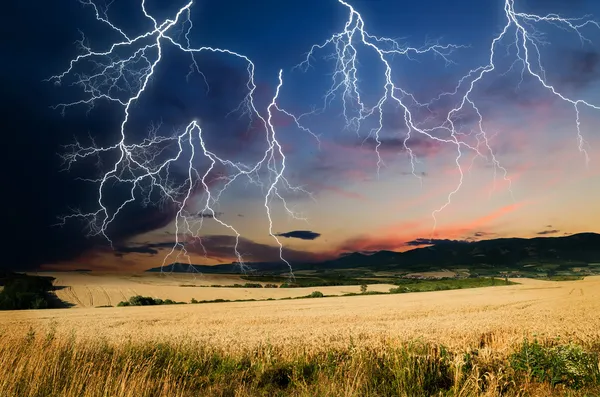 Tempestade em terra de trigo — Fotografia de Stock