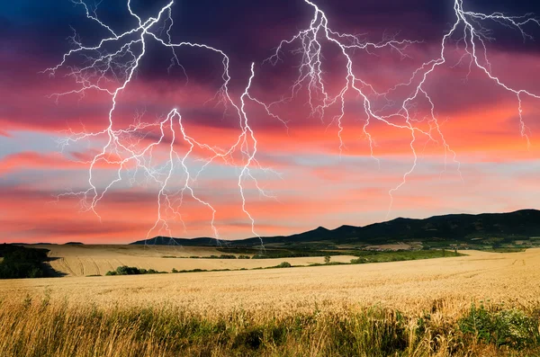 Onweersbui met bliksem in tarwe land — Stockfoto