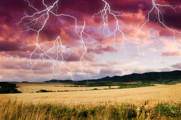 Bouře v pšeničné půdy — Stock fotografie