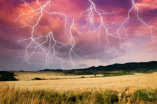 Tempestade em terra de trigo — Fotografia de Stock