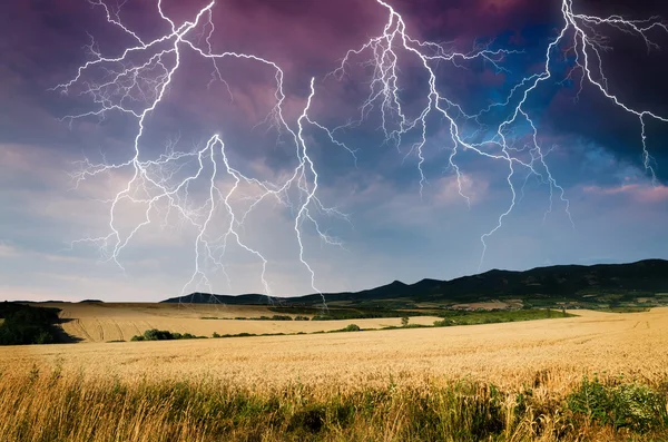 Tempestade em terra de trigo — Fotografia de Stock