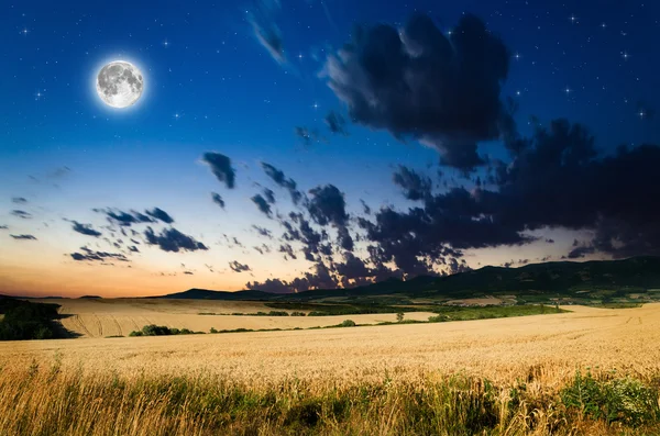 Wheat in the night — Stock Photo, Image