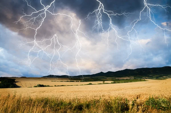 小麦の土地の中の嵐 ロイヤリティフリーのストック画像