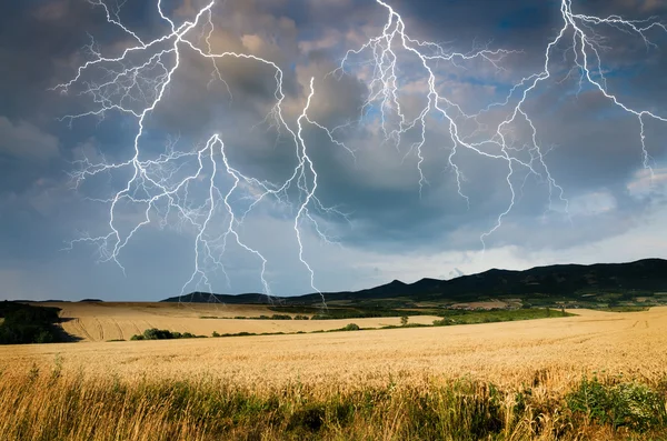小麦の土地の中の嵐 ストックフォト
