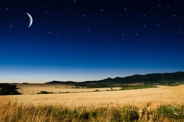 Wheat in the night — Stock Photo, Image