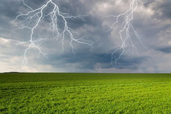 緑の草原の雷と雷雨 — ストック写真