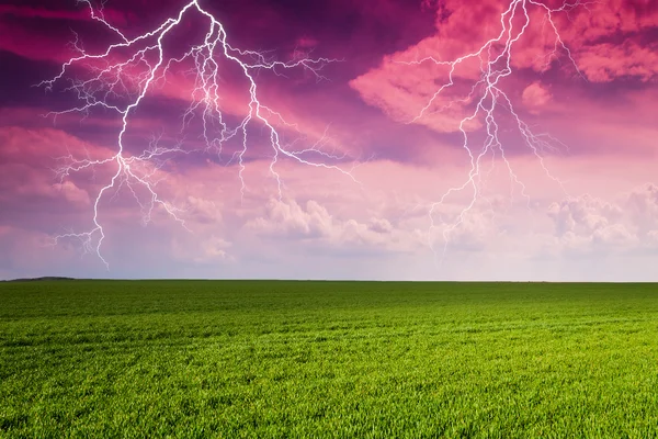 Thunderstorm in field — Stock Photo, Image