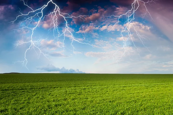 Thunderstorm with lightning in green meadow — Stock Photo, Image